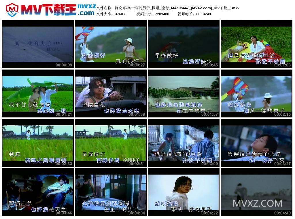 陈晓东-风一样的男子_国语_流行_MA108447